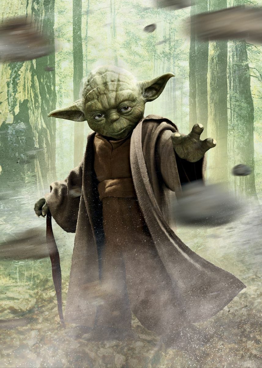 WHO WAS MASTER YODA?